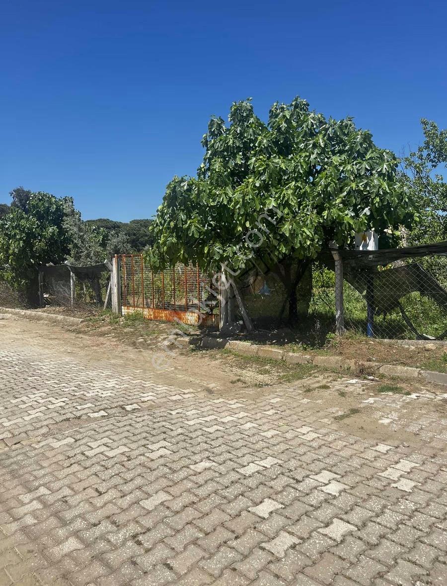 Sümer Mahallesinde Yatırımlık 639m2 İmarlı Arsa