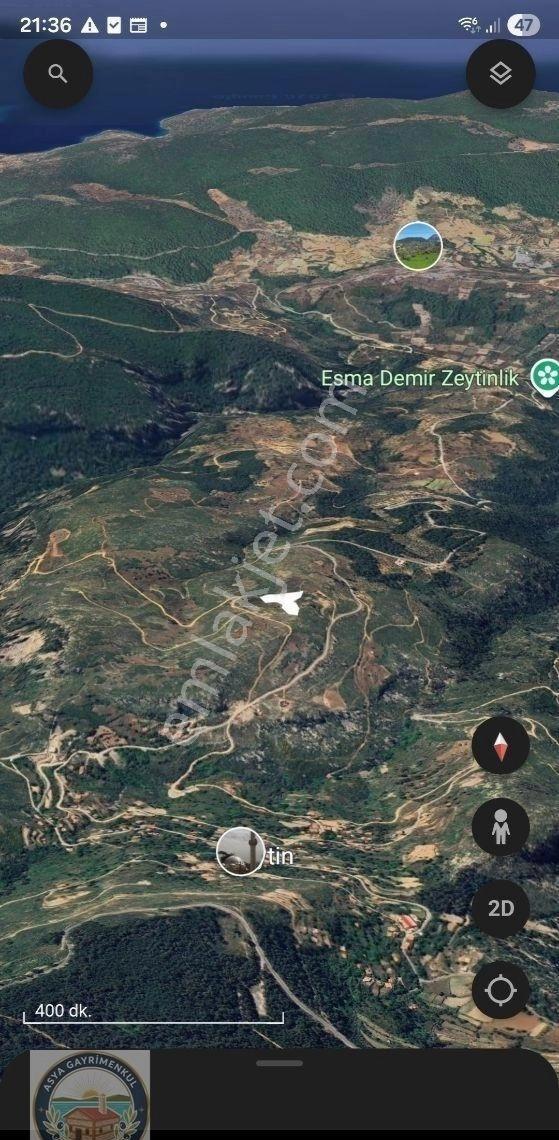 Menteşe Zeytinde Deniz Manzaralı, Yatırımlık 5 Dönüm Tarla - Görsel 11