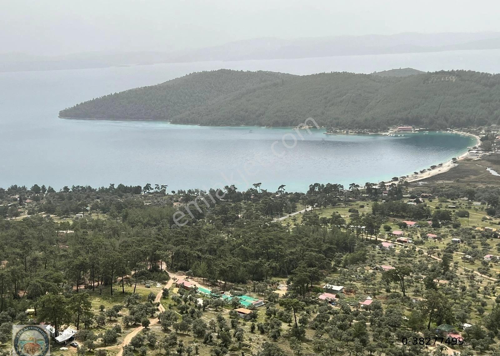 Menteşe Zeytinde Deniz Manzaralı, Yatırımlık 5 Dönüm Tarla - Görsel 12