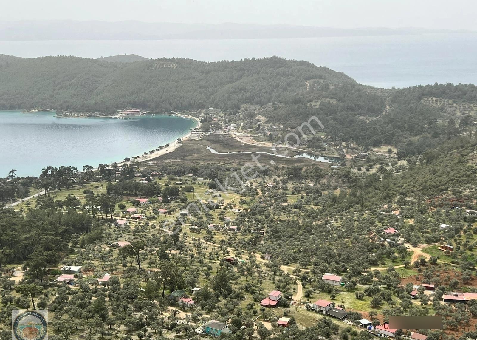 Menteşe Zeytinde Deniz Manzaralı, Yatırımlık 5 Dönüm Tarla - Görsel 3