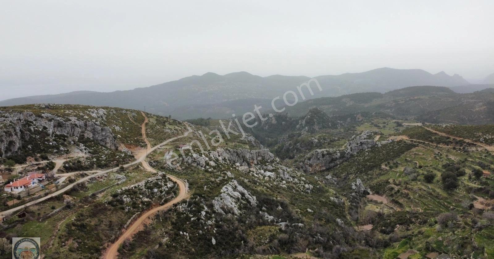 Menteşe Zeytinde Deniz Manzaralı, Yatırımlık 5 Dönüm Tarla - Görsel 13