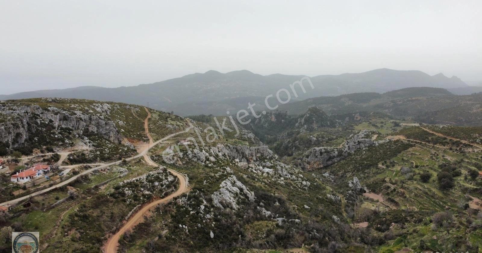 Menteşe Zeytinde Deniz Manzaralı, Yatırımlık 5 Dönüm Tarla - Görsel 5