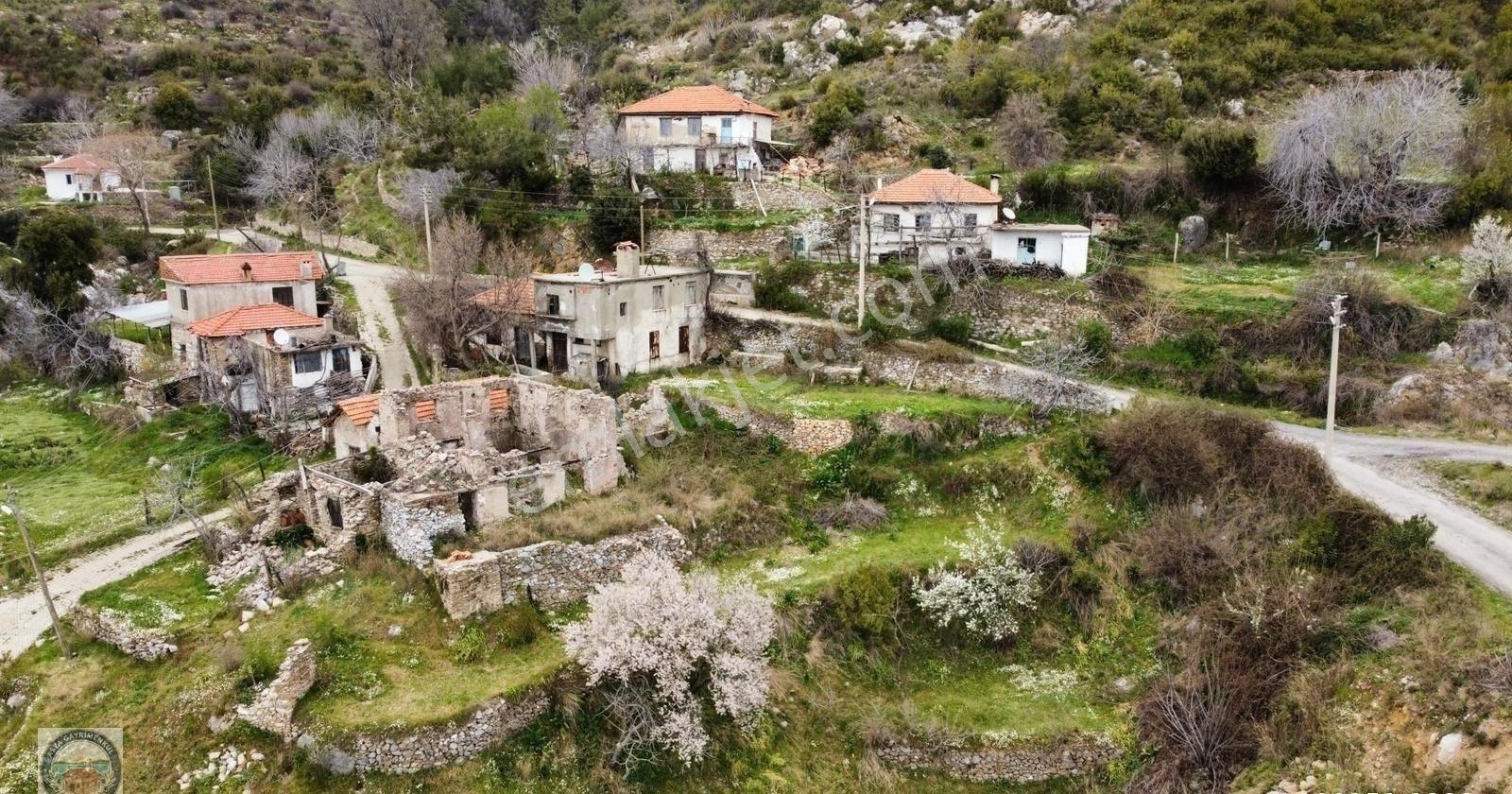 Menteşe Zeytinde Deniz Manzaralı, Yatırımlık 5 Dönüm Tarla - Görsel 7