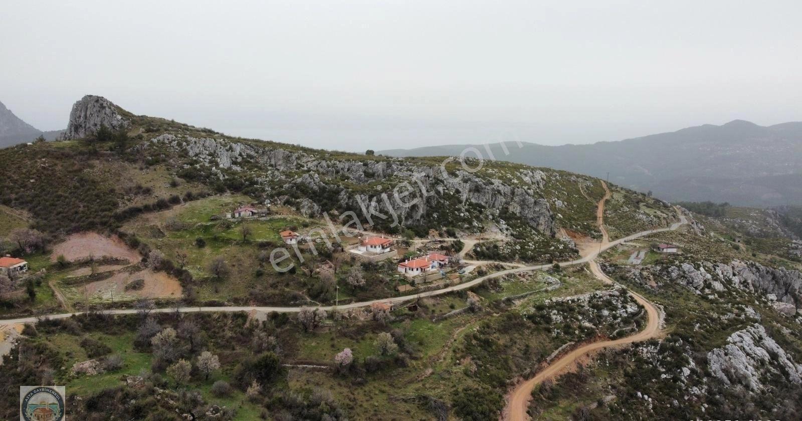 Menteşe Zeytinde Deniz Manzaralı, Yatırımlık 5 Dönüm Tarla - Görsel 14