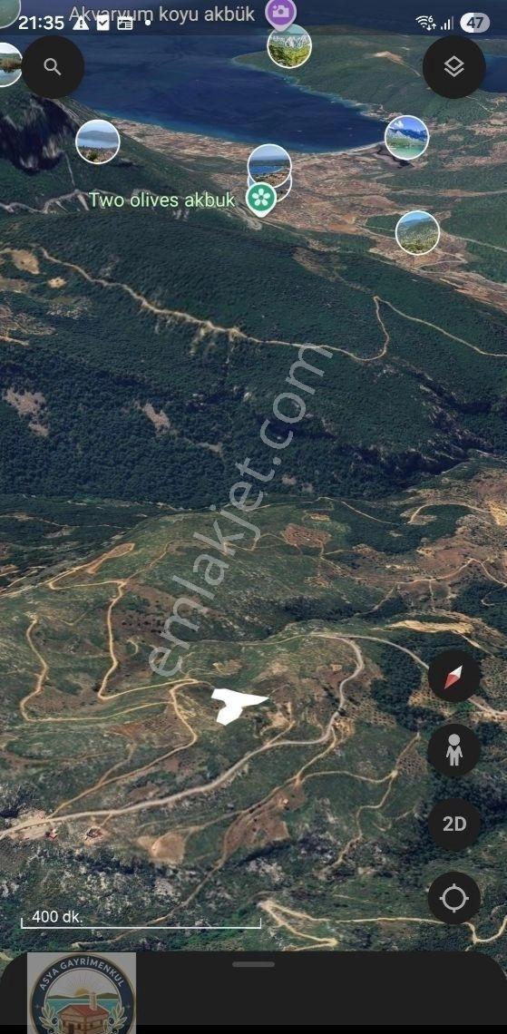 Menteşe Zeytinde Deniz Manzaralı, Yatırımlık 5 Dönüm Tarla - Görsel 10