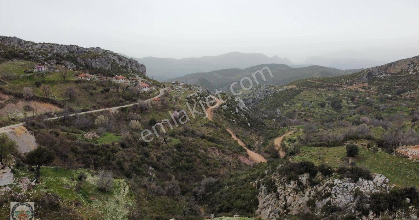 Menteşe Zeytinde Deniz Manzaralı, Yatırımlık 5 Dönüm Tarla - Görsel 2