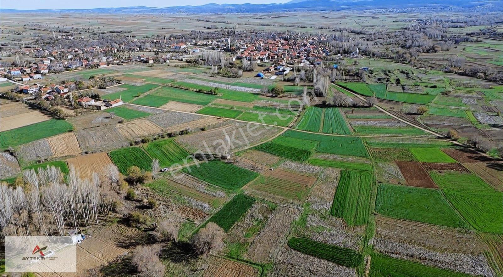 Konya Doğanhisar Koçaş Mahallesinde 626 M² Müstakil Tapulu Tarla - Görsel 6