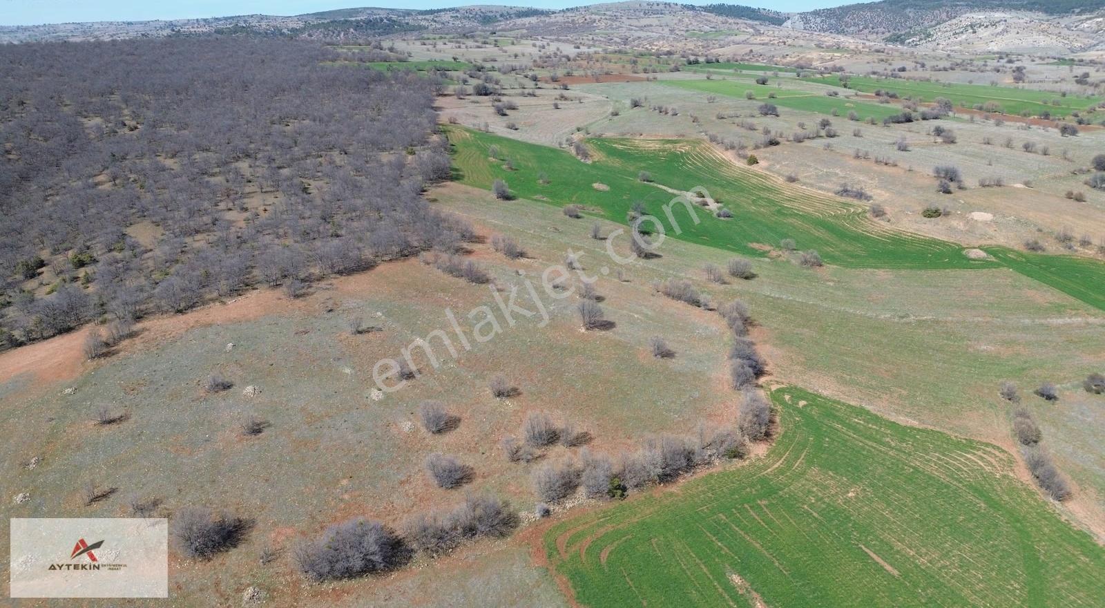 Ilgın Belekler Mahallesinde 1.409 M² Müstakil Tapulu Tarla - Görsel 7