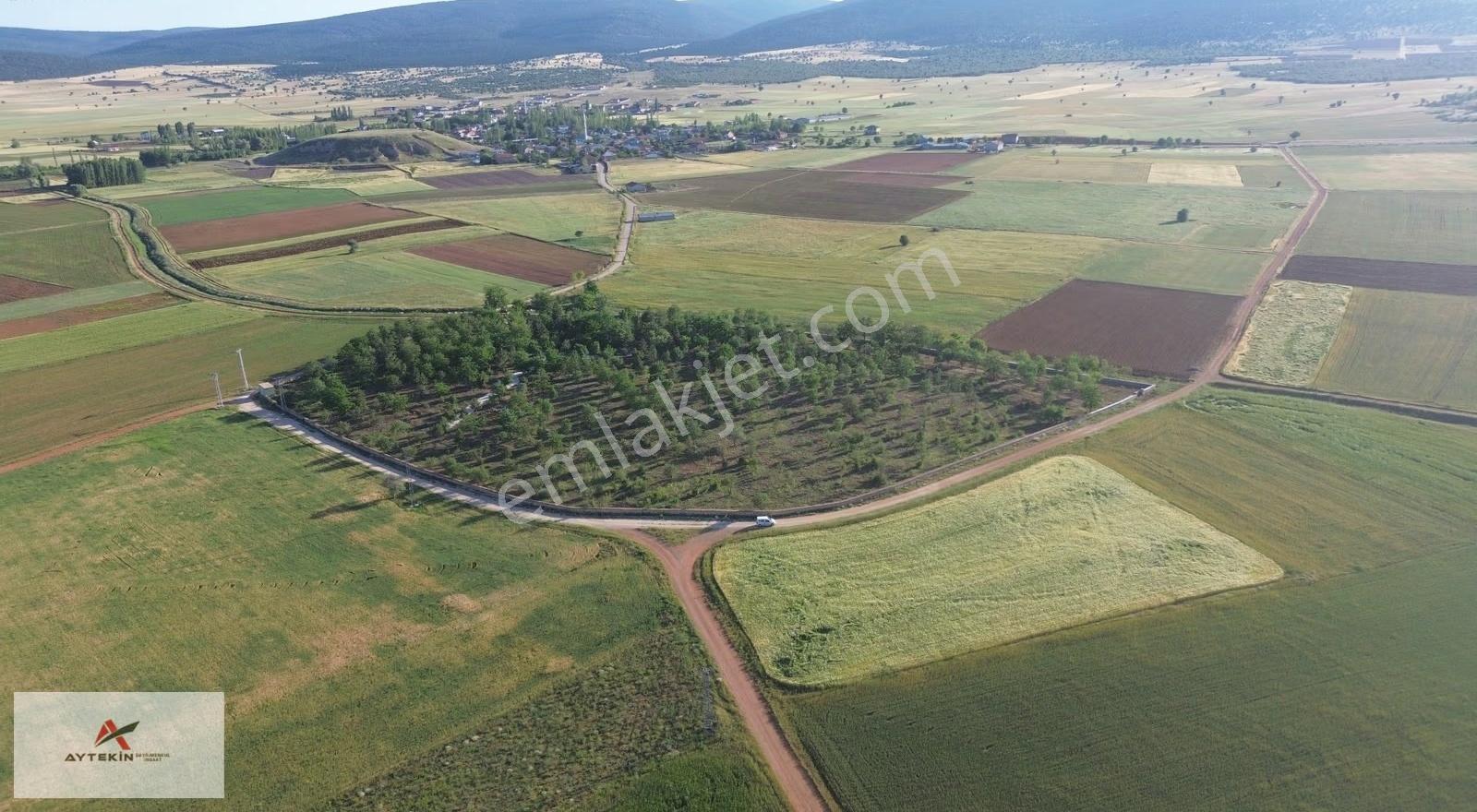 Akören Karahüyük Mahallesinde 5.056 M² Müstakil Tapulu Tarla - Görsel 5