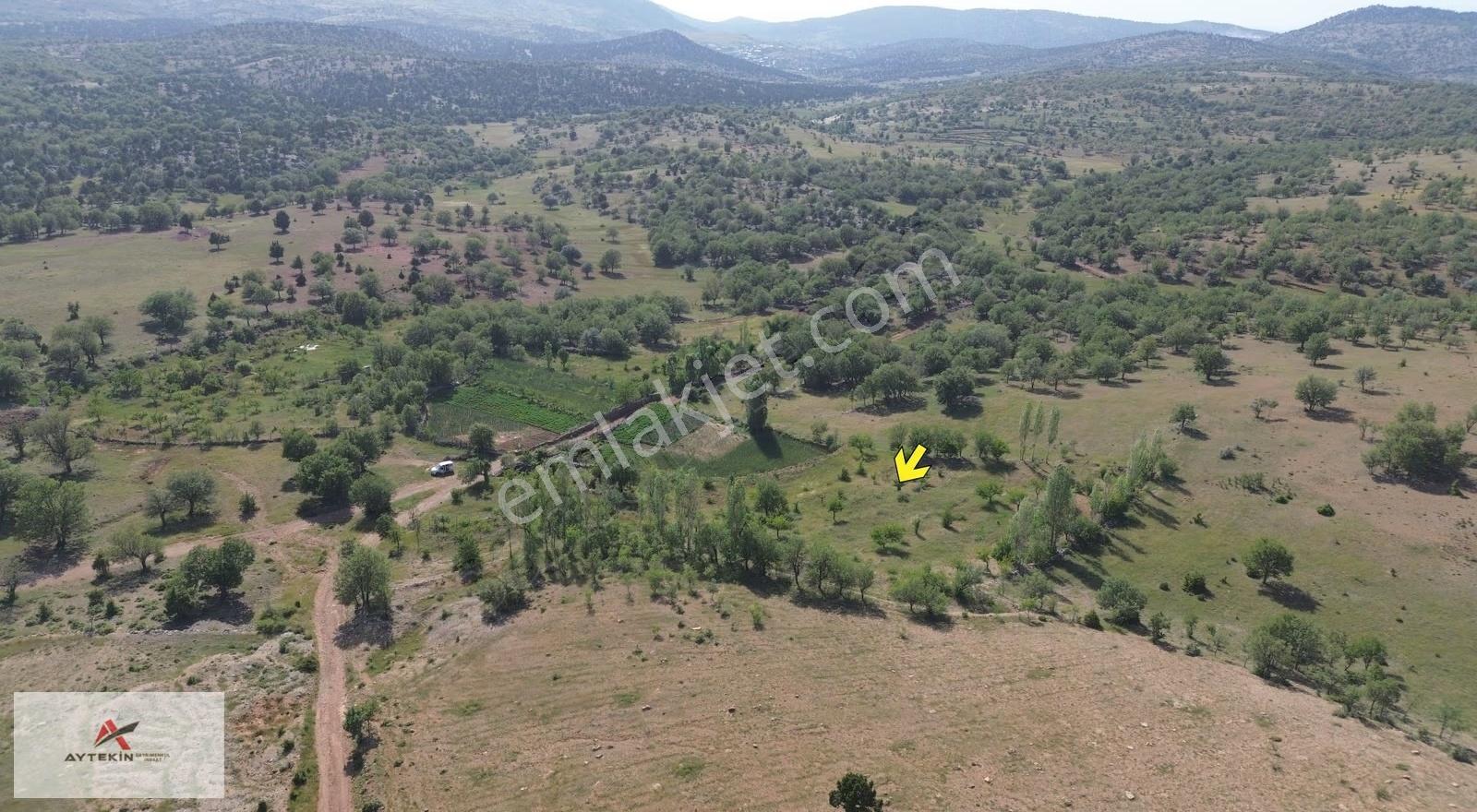Hacılar Mahallesinde 1.043 M² Müstakil Tapulu Bahçe - Görsel 2