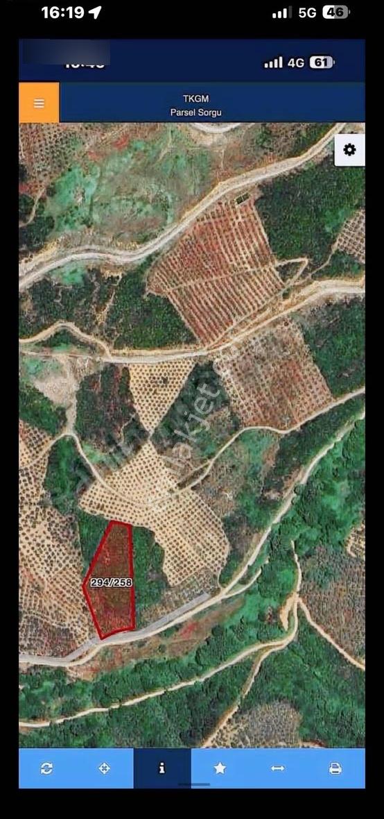 Gemlik/küçükkumla 5.076 Mt2 Arsamız Satılıktır.