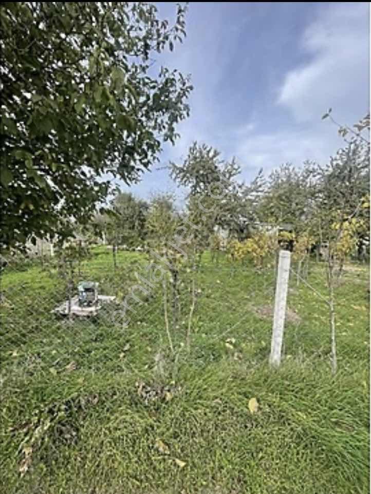 Acil Satılık Tek Tapu Tarla 836m2 - Görsel 9