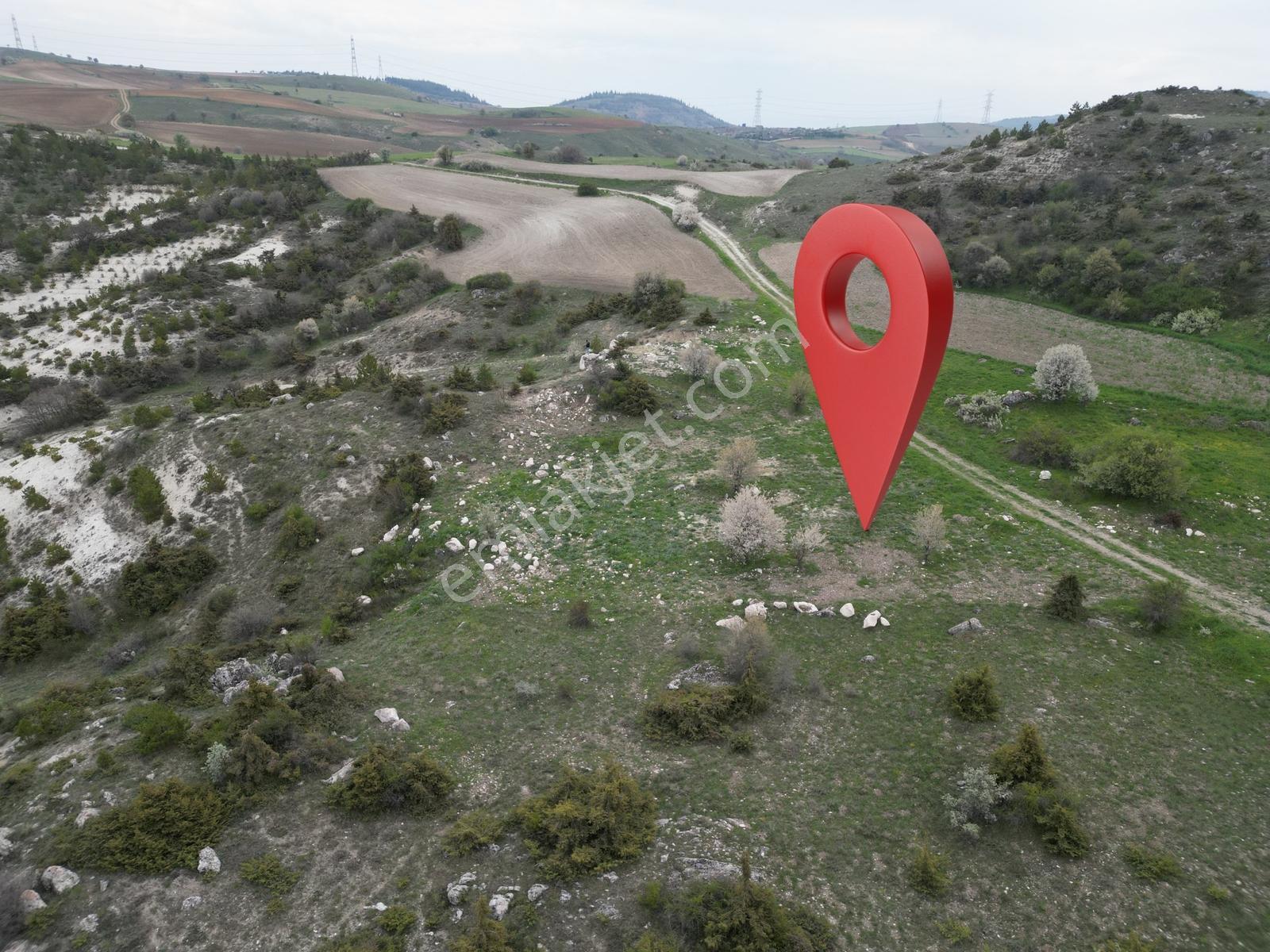 Yenikent E 10 Dk Mesafede_tek Tapu_bahçeye__uygun 3881m2 - Görsel 7