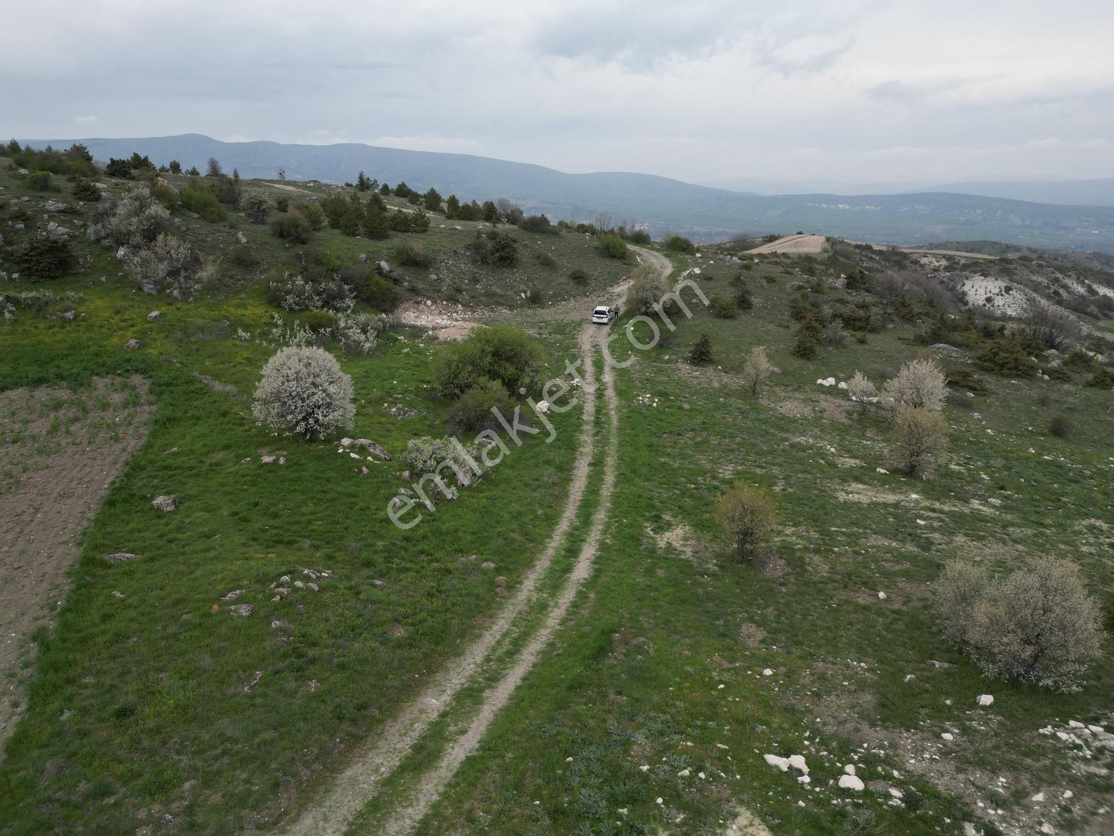 Yenikent E 10 Dk Mesafede_tek Tapu_bahçeye__uygun 3881m2 - Görsel 26