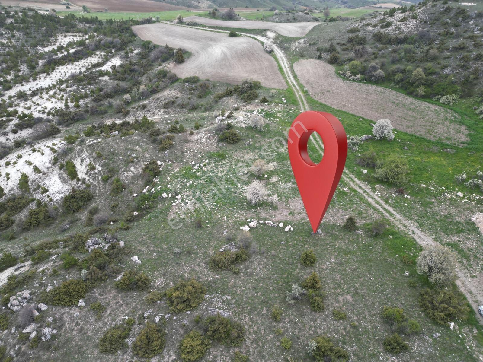 Yenikent E 10 Dk Mesafede_tek Tapu_bahçeye__uygun 3881m2 - Görsel 20
