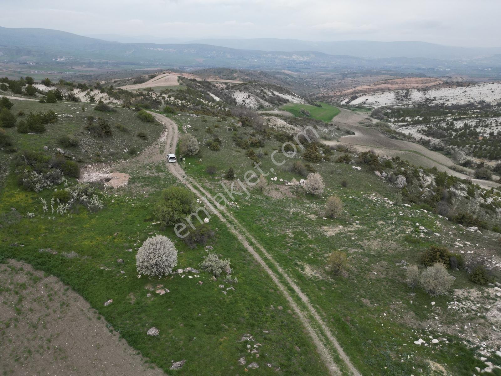 Yenikent E 10 Dk Mesafede_tek Tapu_bahçeye__uygun 3881m2 - Görsel 25