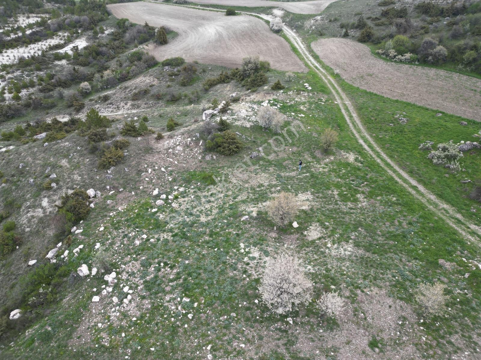 Yenikent E 10 Dk Mesafede_tek Tapu_bahçeye__uygun 3881m2 - Görsel 13