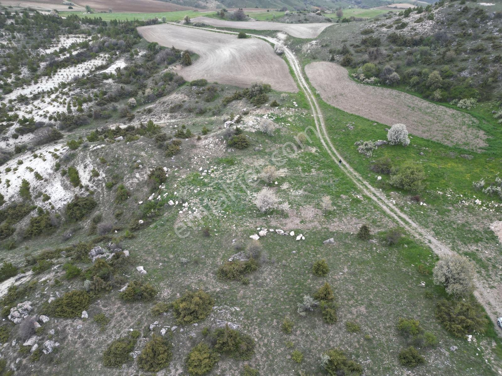 Yenikent E 10 Dk Mesafede_tek Tapu_bahçeye__uygun 3881m2 - Görsel 12
