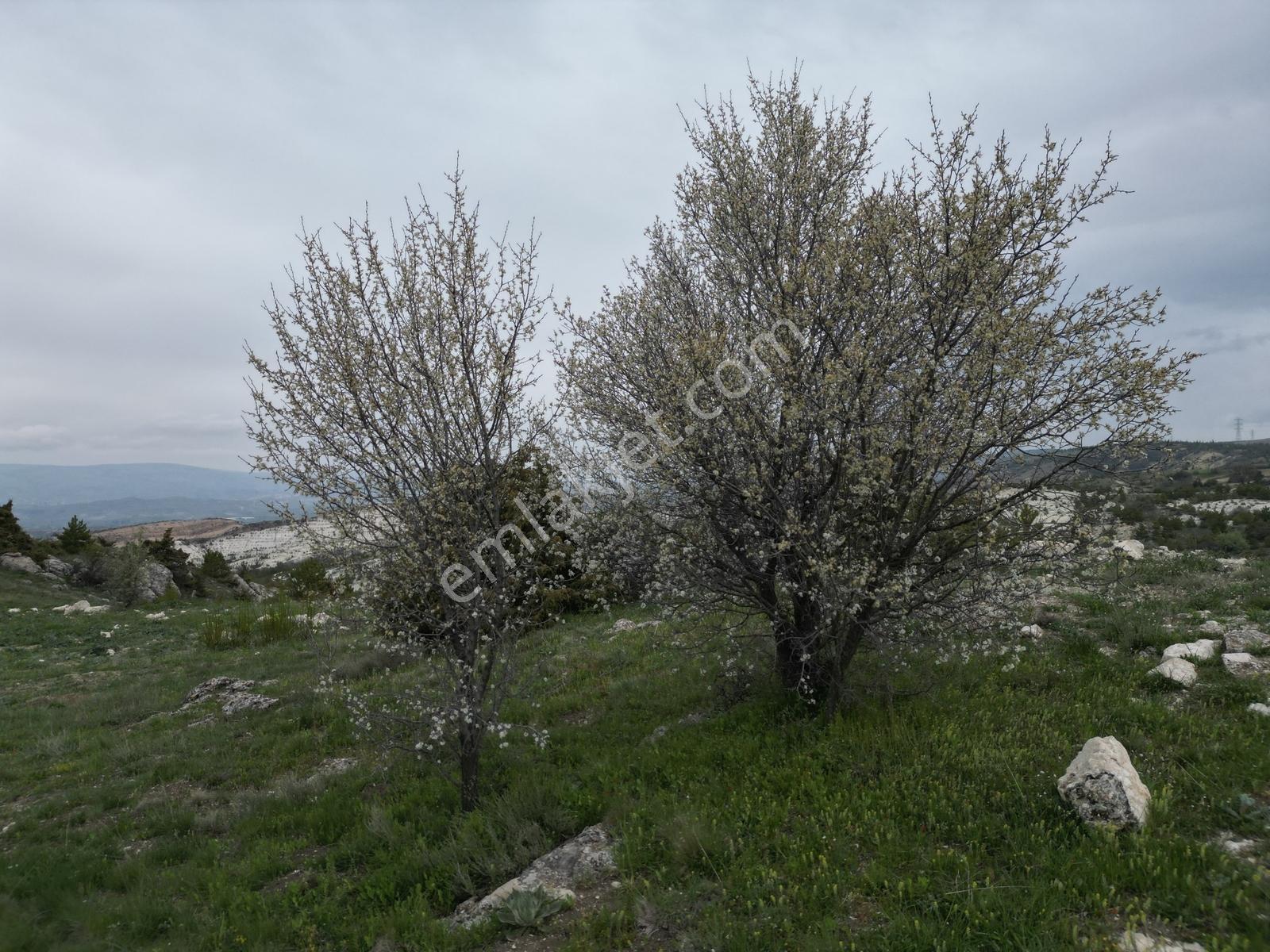 Yenikent E 10 Dk Mesafede_tek Tapu_bahçeye__uygun 3881m2 - Görsel 31