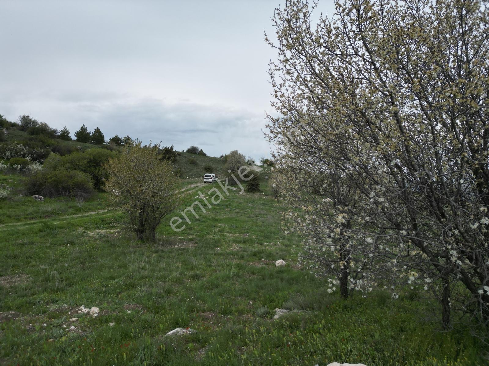 Yenikent E 10 Dk Mesafede_tek Tapu_bahçeye__uygun 3881m2 - Görsel 29