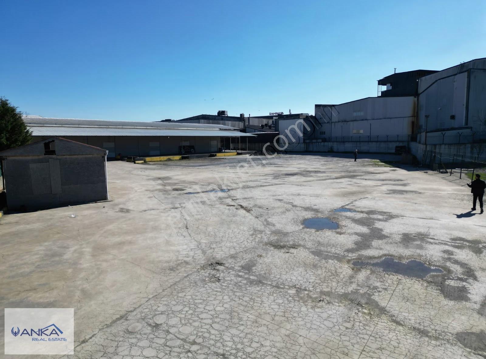 Anka Real Estate / Ömerli Mahallesinde 7000 M² Kiralık Depo - Görsel 13