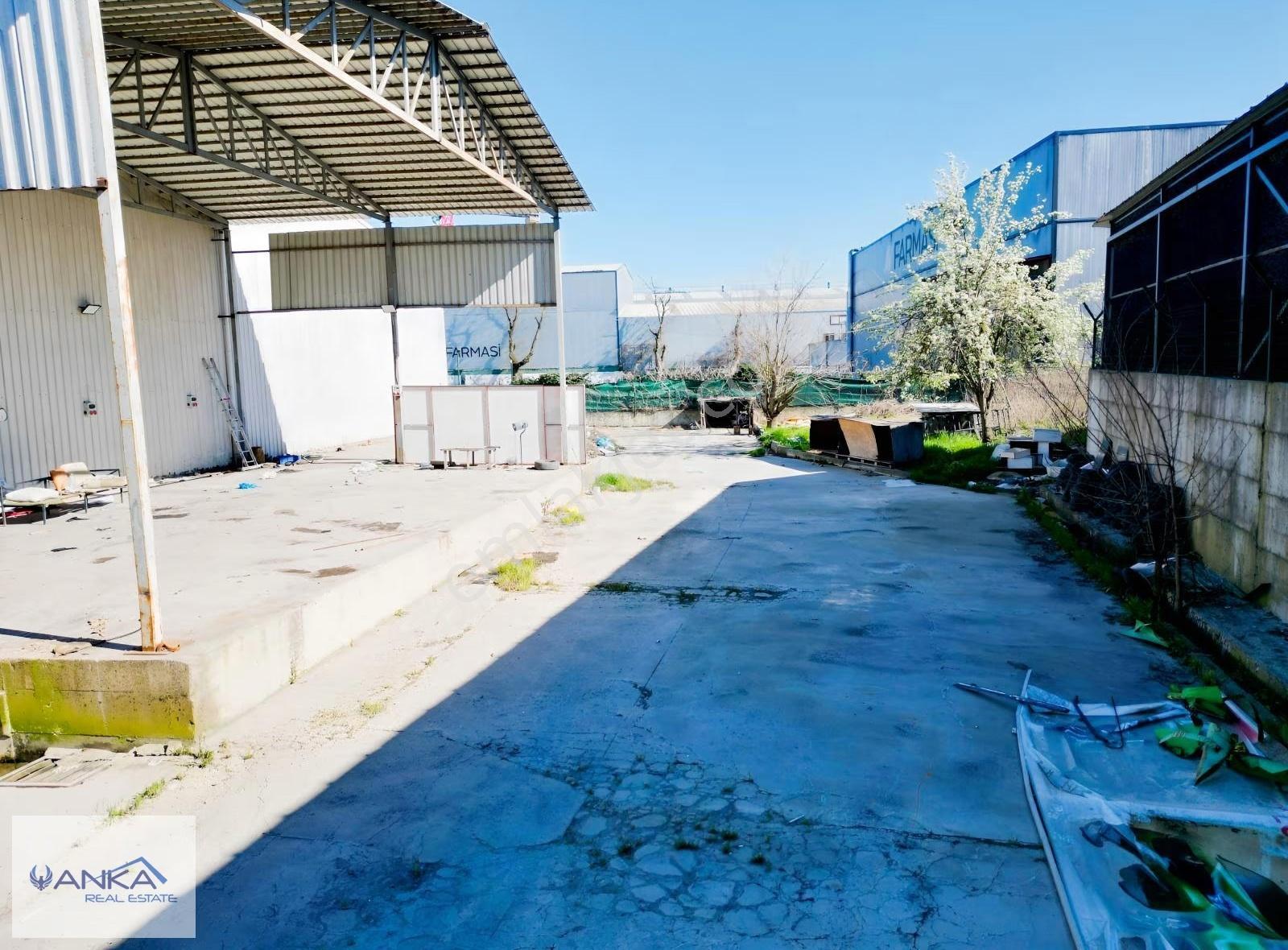 Anka Real Estate / Ömerli Mahallesinde 7000 M² Kiralık Depo - Görsel 28