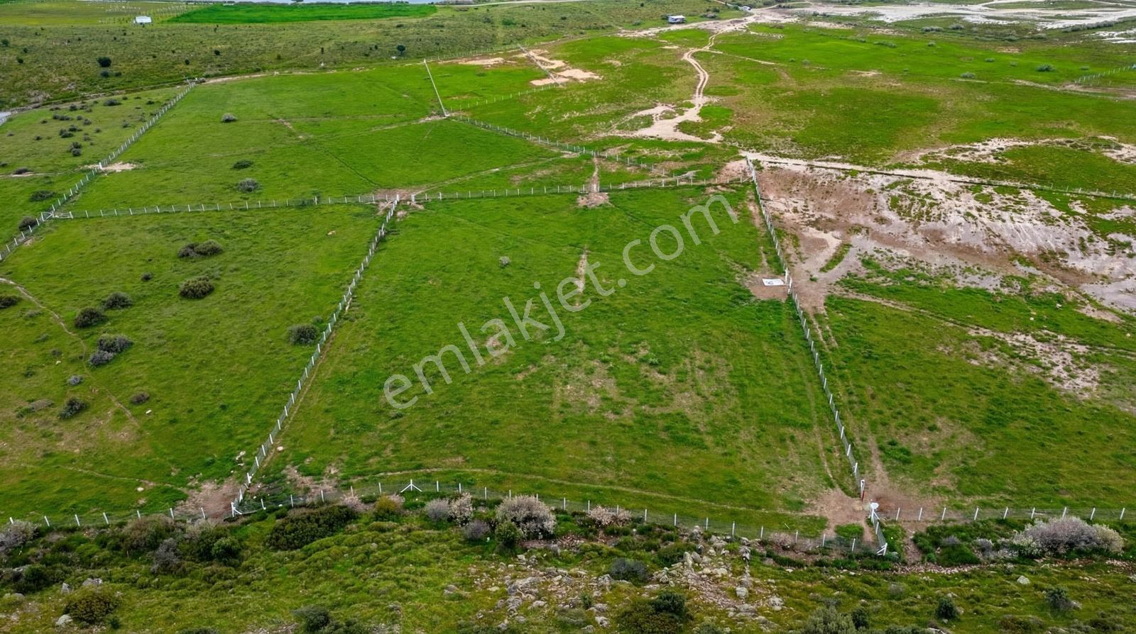 Foça Yenibağarası Mah. Satılık 262 M2 Tarla - Görsel 11