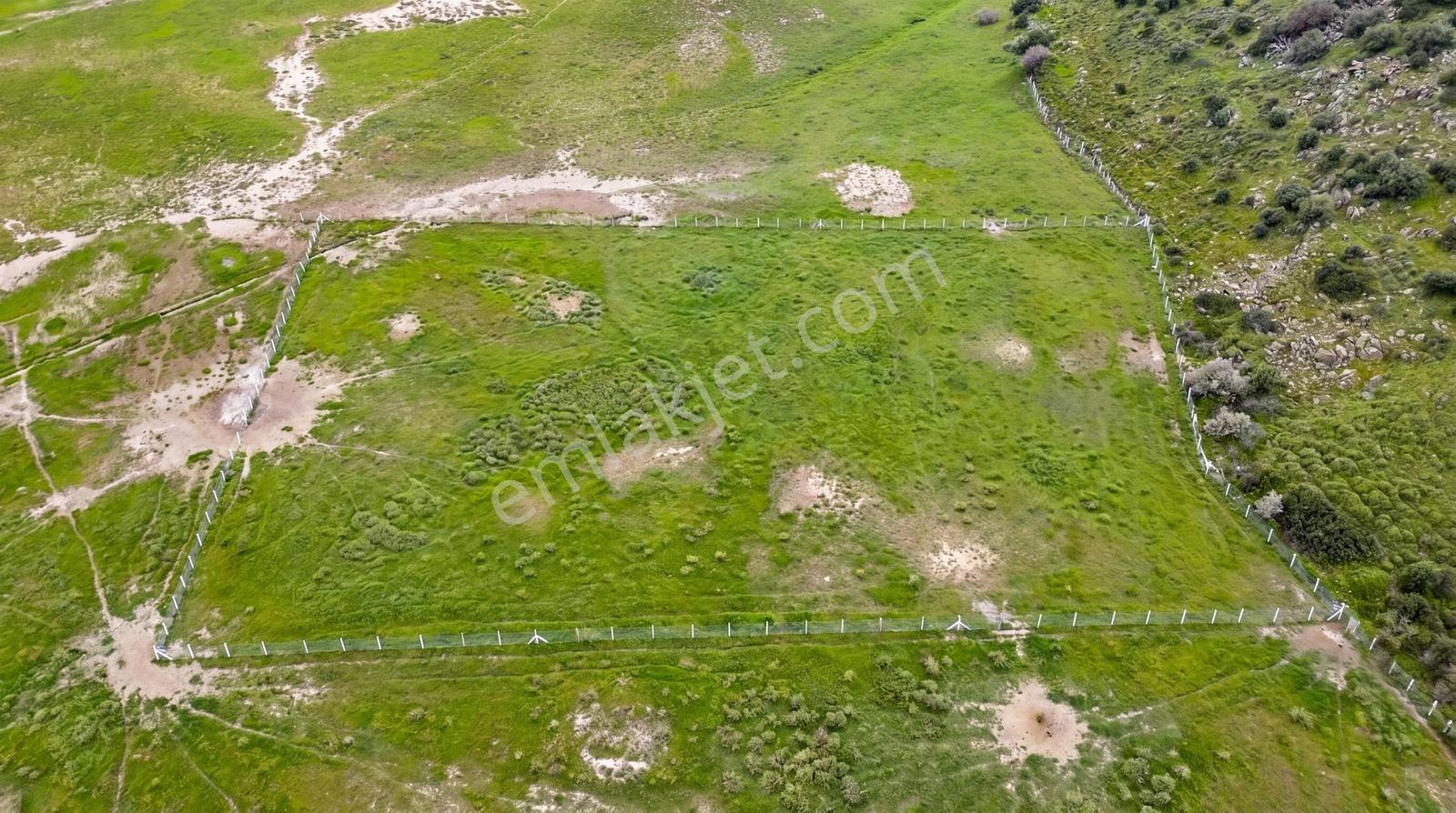 Foça Yenibağarası Mah. Satılık 262 M2 Tarla - Görsel 35
