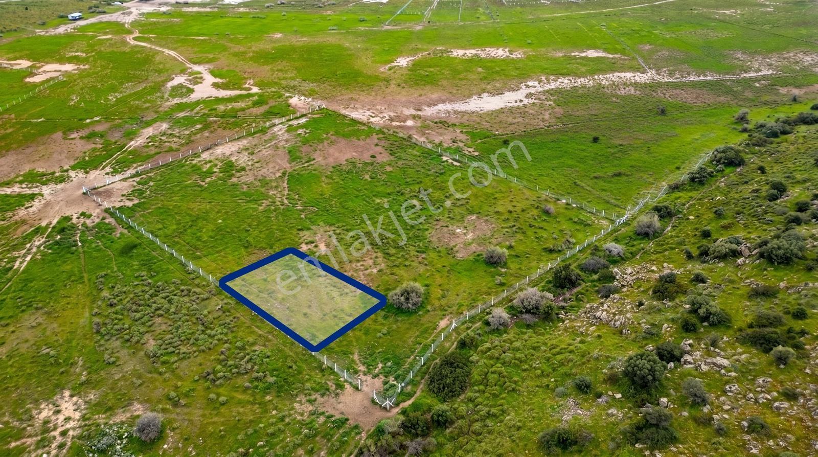 Foça Yenibağarası Mah. Satılık 262 M2 Tarla - Görsel 19