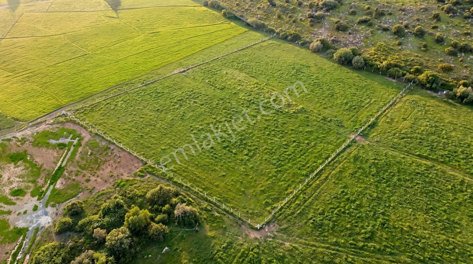 Foça Yenibağarası Mah. Satılık 262 M2 Tarla - Görsel 4