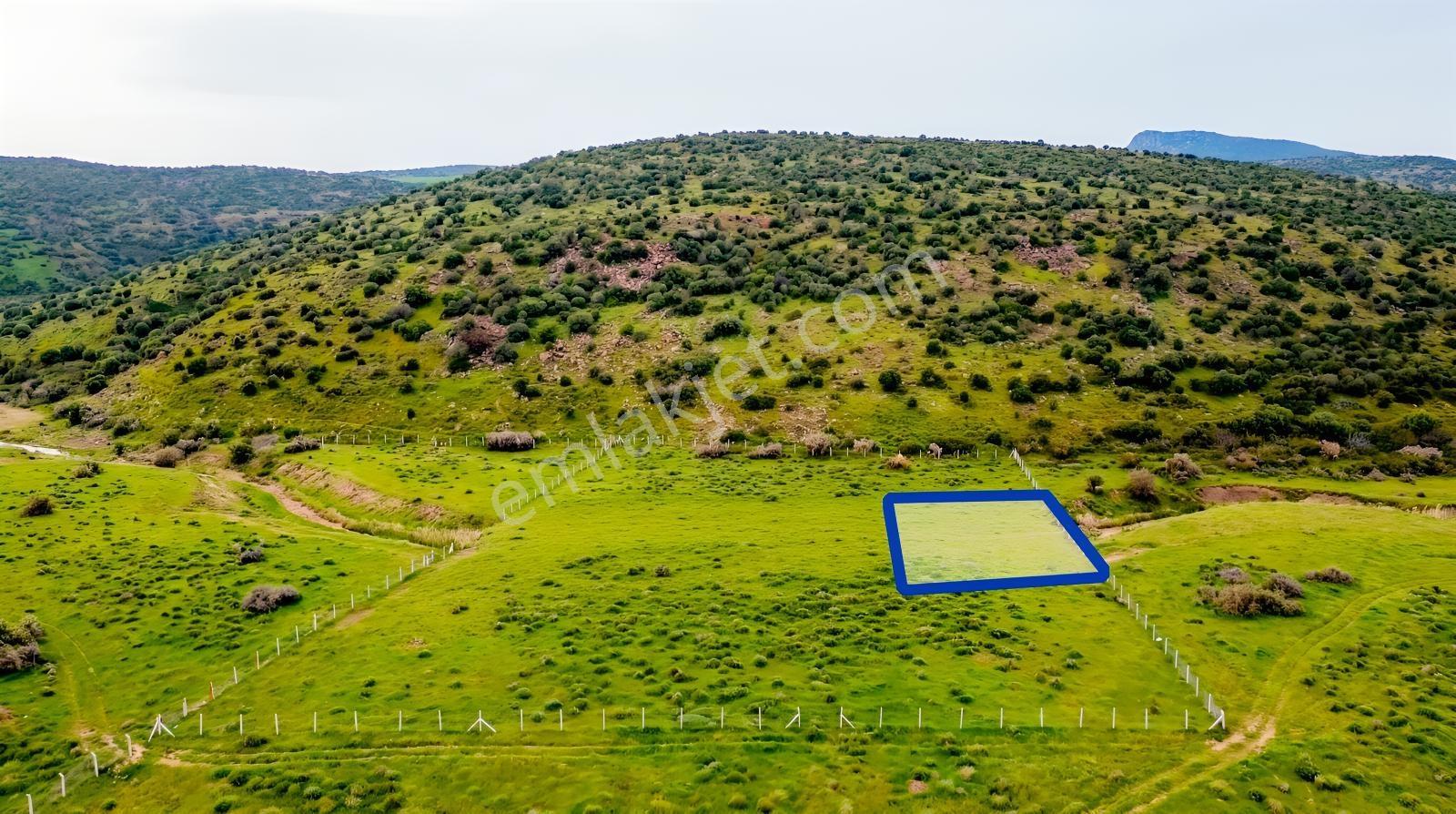 Foça Yenibağarası Mah. Satılık 262 M2 Tarla - Görsel 22