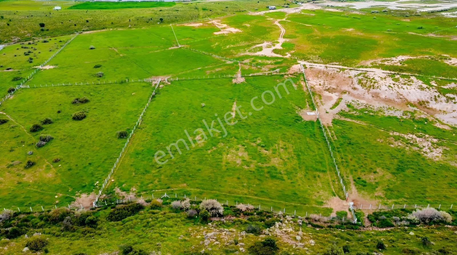 Foça Yenibağarası Mah. Satılık 262 M2 Tarla - Görsel 26