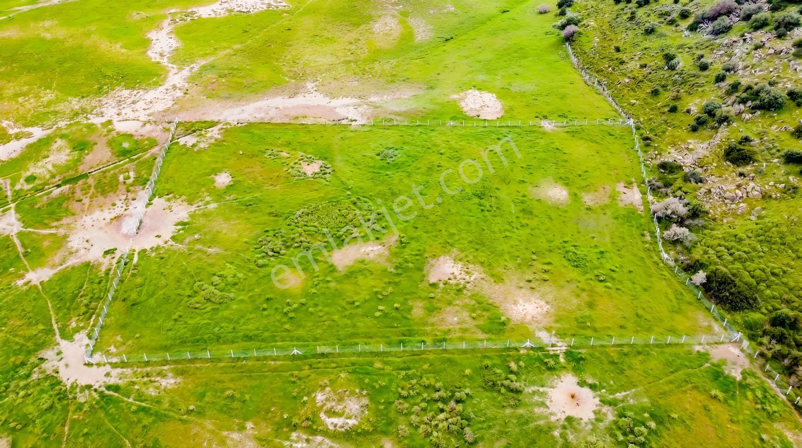 Foça Yenibağarası Mah. Satılık 262 M2 Tarla - Görsel 5