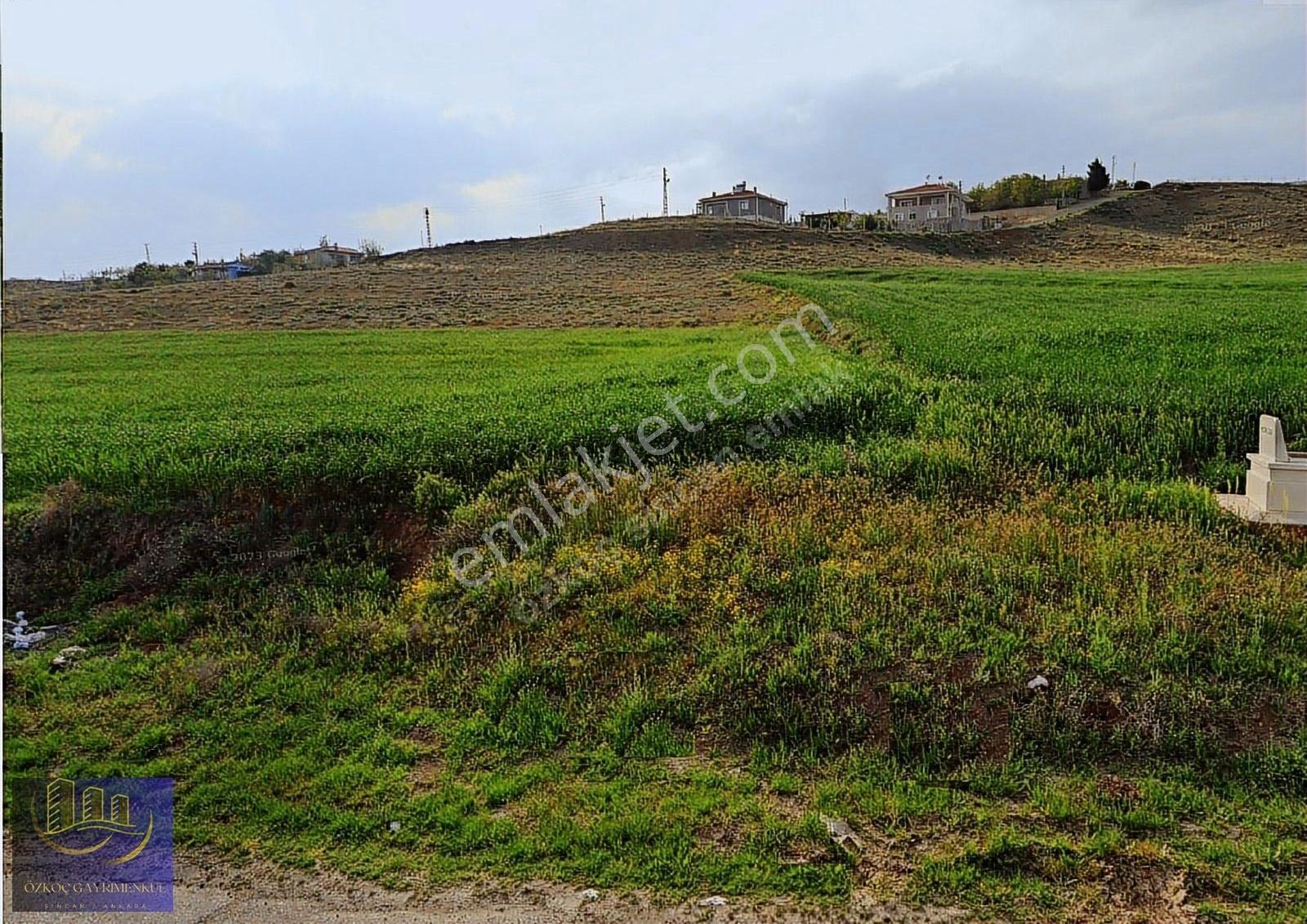 Ayaş Tekke'de Yola Cephe 2093 Metre Tek Tapu Satılık Arazi - Görsel 8
