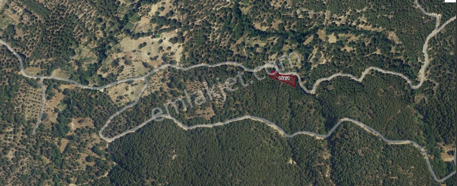 Eu Gayrimenkul'den 1495 M2 Kadastral Yolu Olan Fıstık Çamlığı - Görsel 4