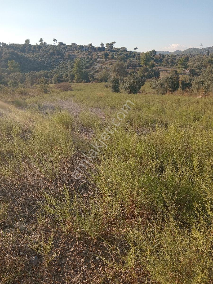 Dalaman Kayadibi Mah. Satılık 3500m² Tarla - Görsel 9