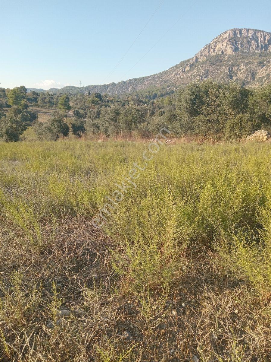 Dalaman Kayadibi Mah. Satılık 3500m² Tarla - Görsel 12