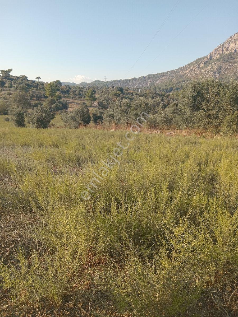 Dalaman Kayadibi Mah. Satılık 3500m² Tarla - Görsel 8