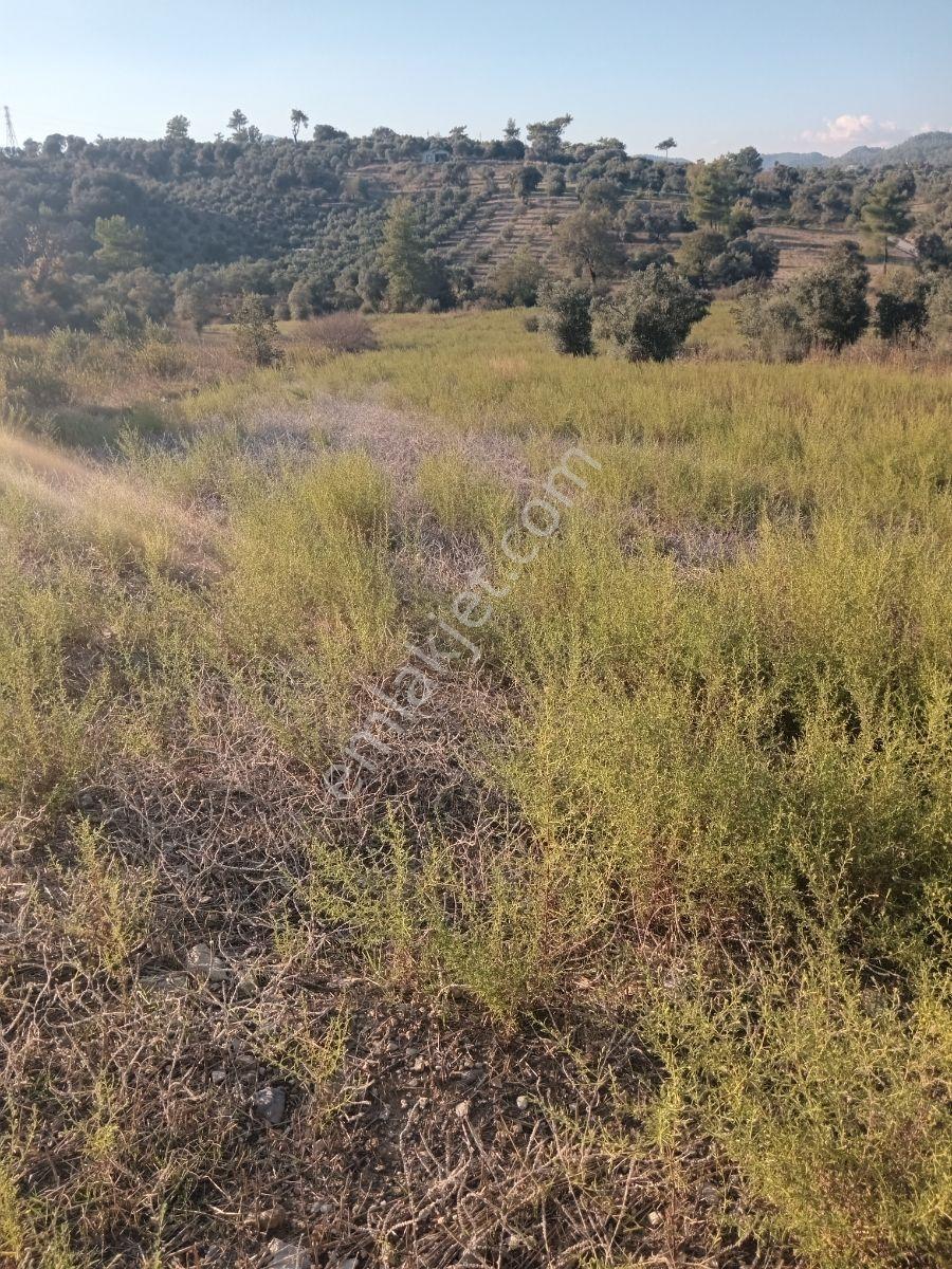 Dalaman Kayadibi Mah. Satılık 3500m² Tarla - Görsel 10