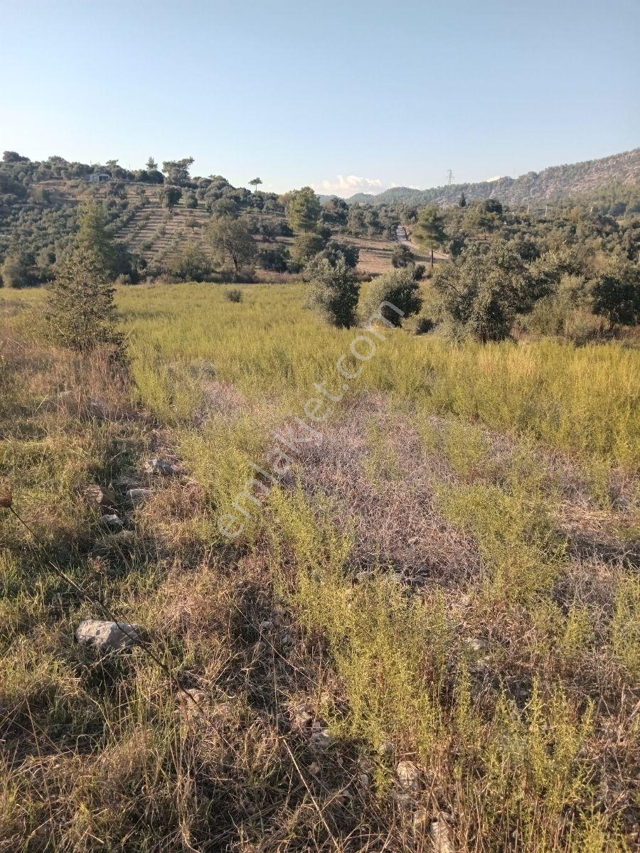 Dalaman Kayadibi Mah. Satılık 3500m² Tarla - Görsel 11