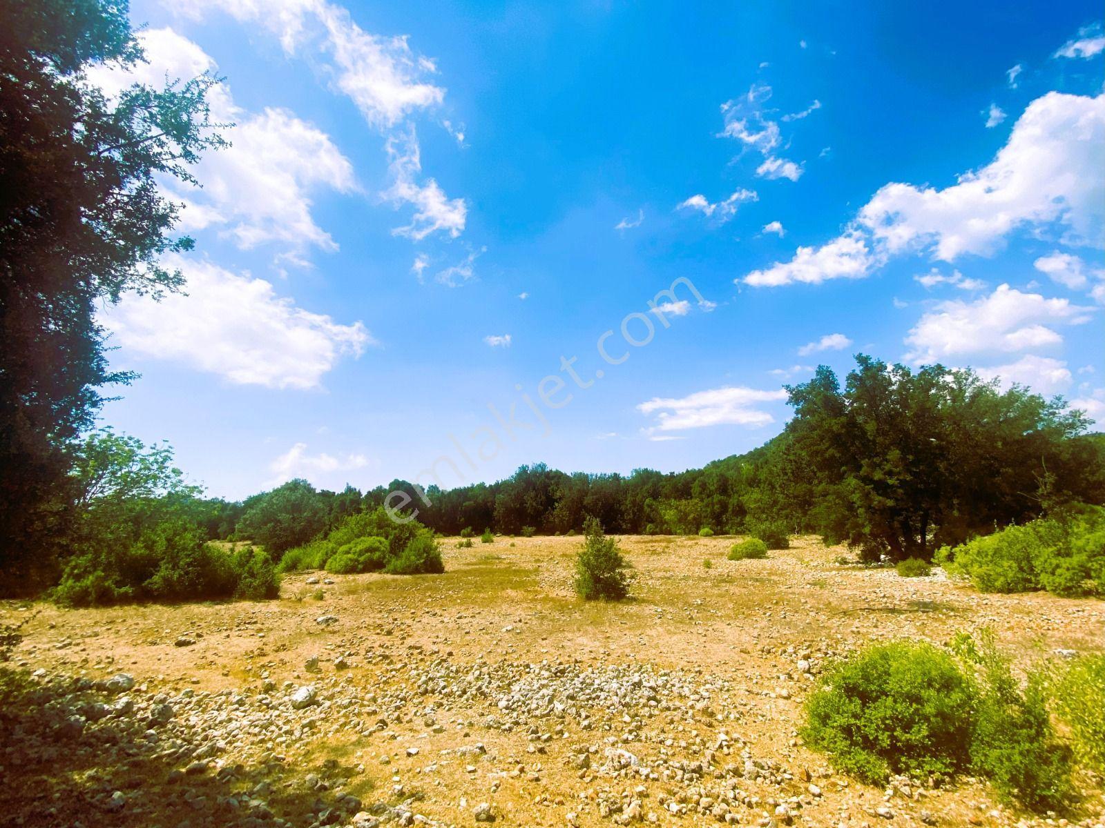 Kaş Pınarbaşı Mevkiinde Müstakil 13834 M2 Tarla - Görsel 11
