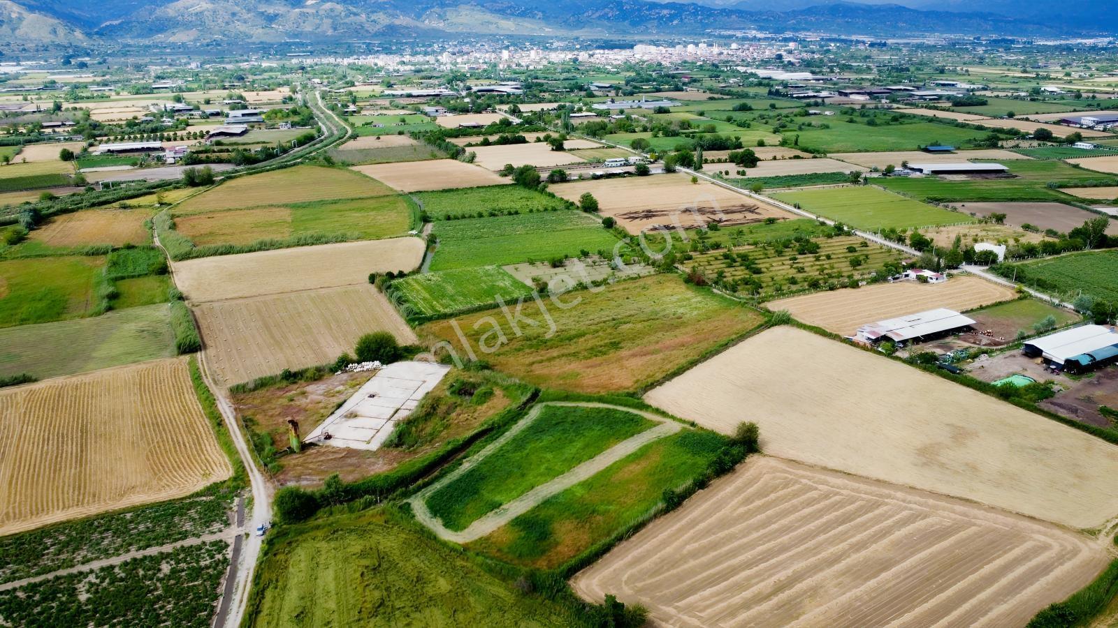 Umurlu Ovasında Tek Tapu, Sulama Sorunsuz 5700 M² Tarla - Görsel 4