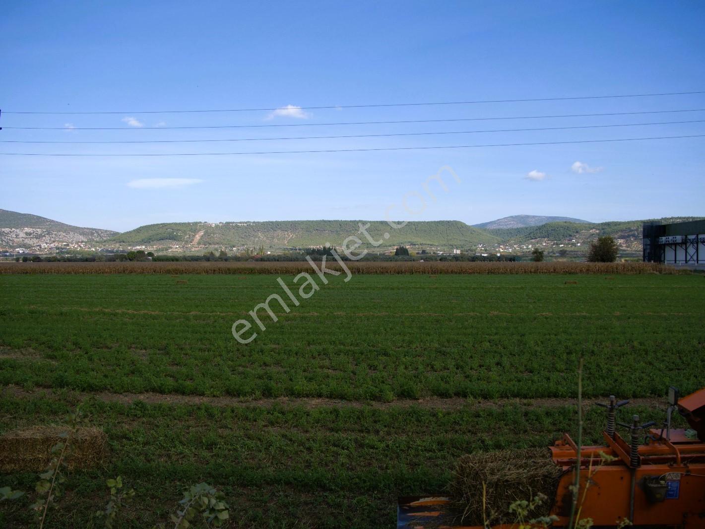 Bodrum Mılas Karayoluna Çok Yakın Yatırımlık Tarla - Görsel 8