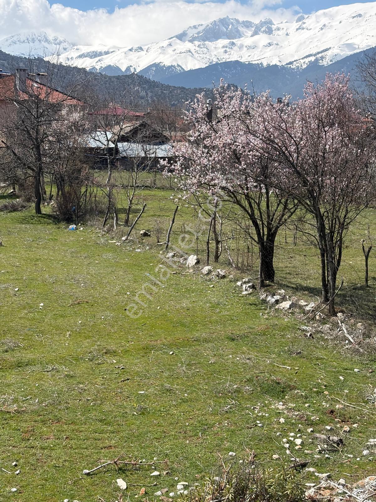 Konya Beyşehir Kurucuova Da İmarlı Arsa - Görsel 3