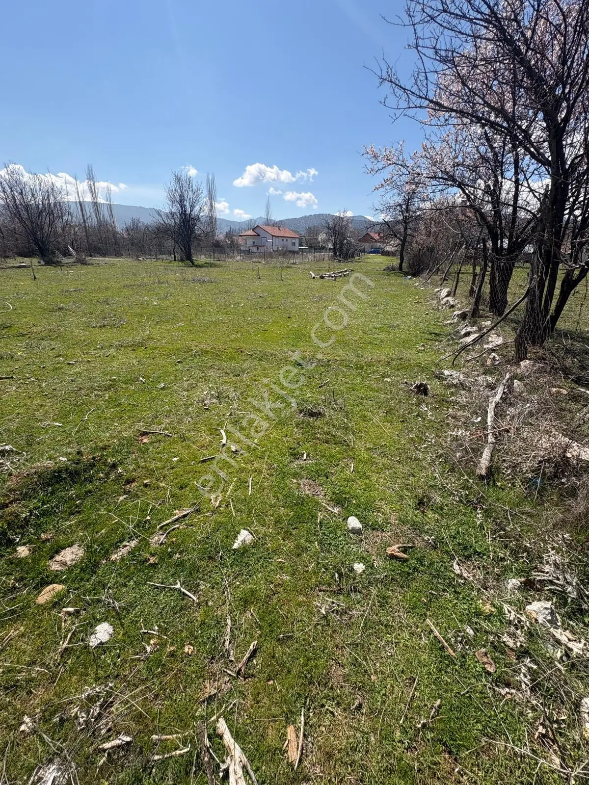 Konya Beyşehir Kurucuova Da İmarlı Arsa - Görsel 5