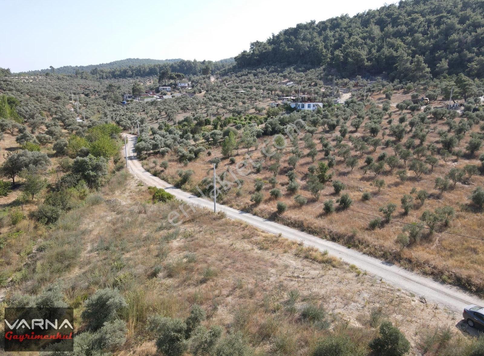 İzmir Menderes Ataköyde Satılık Tek Tapu 1.600 M2 Muhteşem Bahçe - Görsel 5