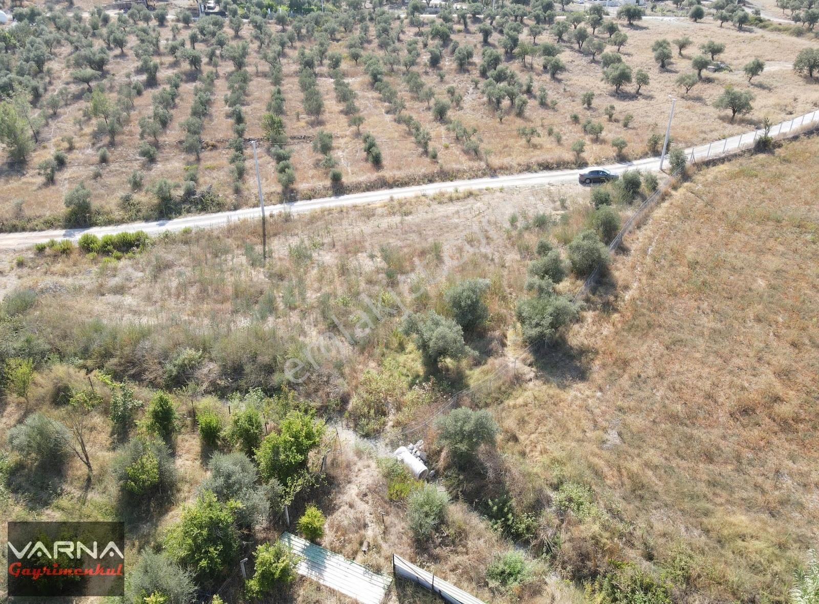 İzmir Menderes Ataköyde Satılık Tek Tapu 1.600 M2 Muhteşem Bahçe - Görsel 12