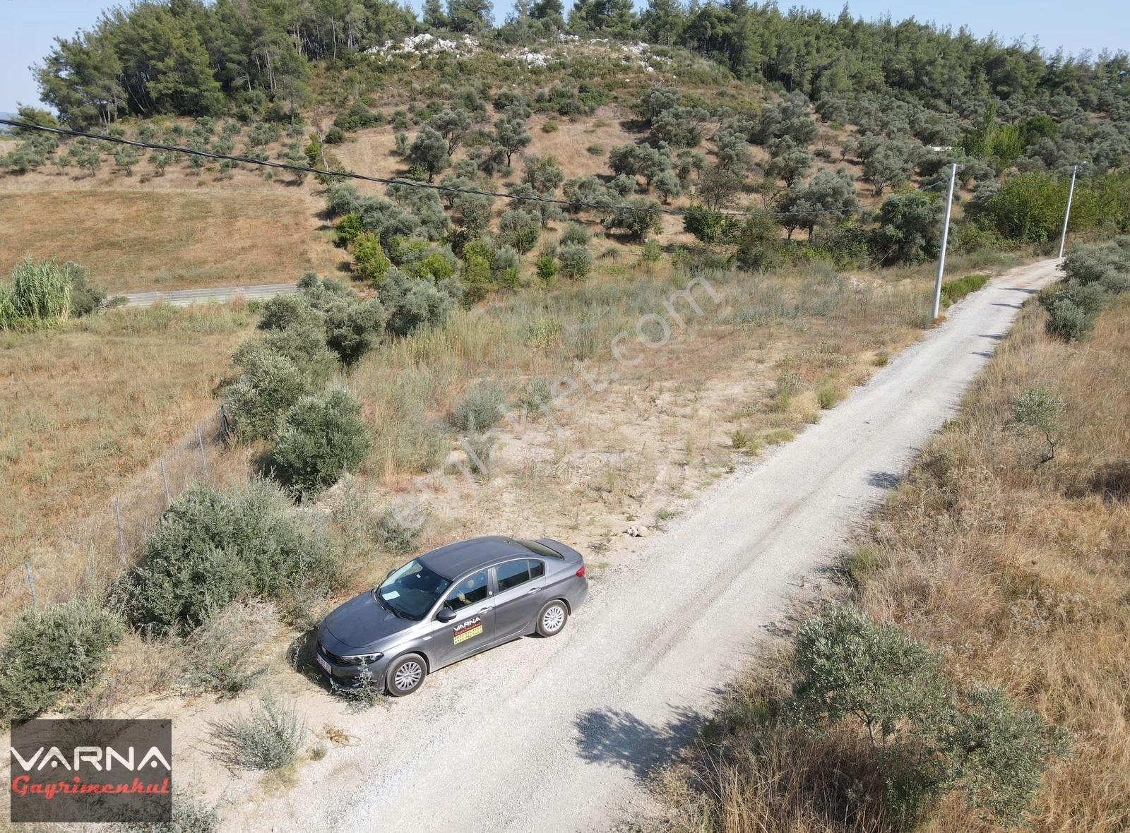 İzmir Menderes Ataköyde Satılık Tek Tapu 1.600 M2 Muhteşem Bahçe - Görsel 11
