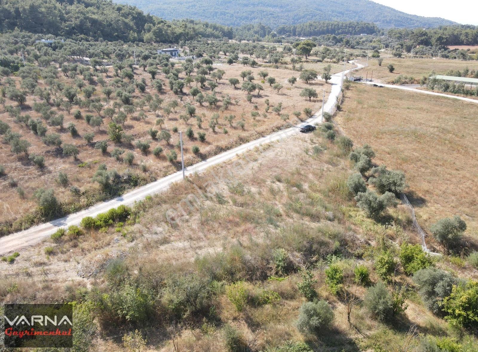 İzmir Menderes Ataköyde Satılık Tek Tapu 1.600 M2 Muhteşem Bahçe - Görsel 13