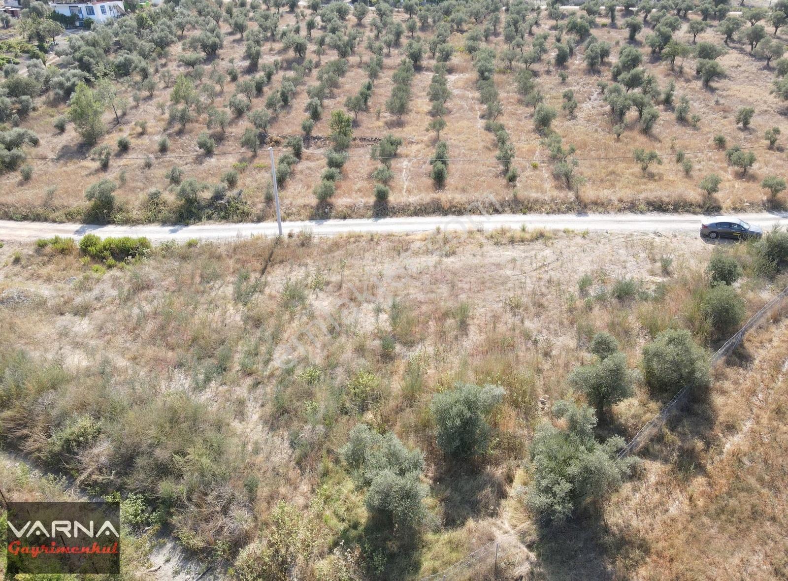 İzmir Menderes Ataköyde Satılık Tek Tapu 1.600 M2 Muhteşem Bahçe - Görsel 20